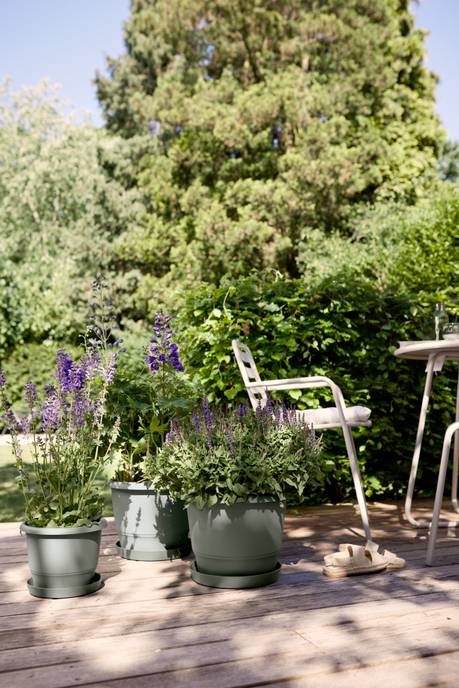 amiga rond 47cm vert thym